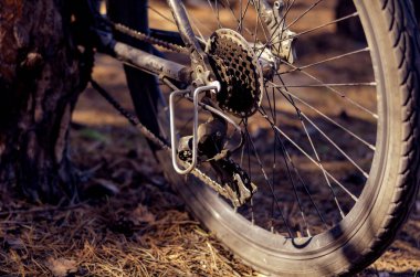 Ormanda ağaç gövdesinde duran bir dağ bisikletinin arka tekerleği. İğneli bisiklet tekerleği, krank ve sürüş zinciri. Renkli fotoğraf.
