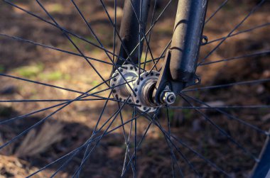 Güneşli bir sonbahar ormanında bir dağ bisikletinin ön tekerleği. Bisiklet tekerleği ve yakın çekimli teller. İnsan yok. Seçici odak