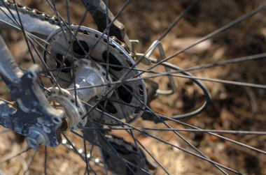 Ormanda ağaç gövdesinde duran bir dağ bisikletinin arka tekerleği. İğneli bisiklet tekerleği, krank ve sürüş zinciri. Renkli fotoğraf.