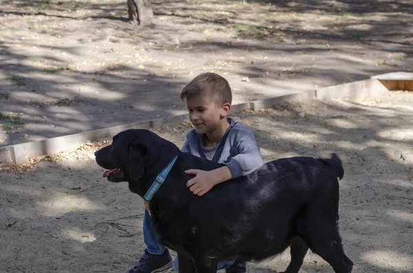 Crianças Animais Estimação Conceito Happy Child Dog Uma Caminhada Menino — Fotografia de Stock