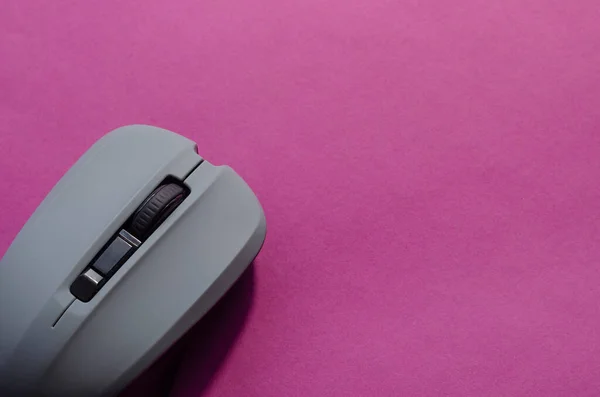 Minimalist background with computer device on pink background. Gray wireless computer mouse. Copy space, selective focus.