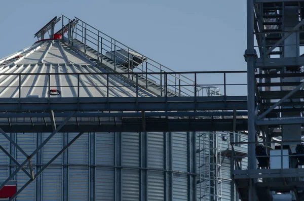 Construction of a metal grain storage. Cylinder silos for wheat, corn, barley and other grain crops. Industry, agribusiness. Without anyone