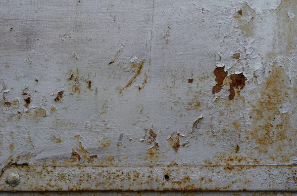 Cracked and peeling paint on metal. Gray paint on a rusted metal surface with nuts. Multitasking design background