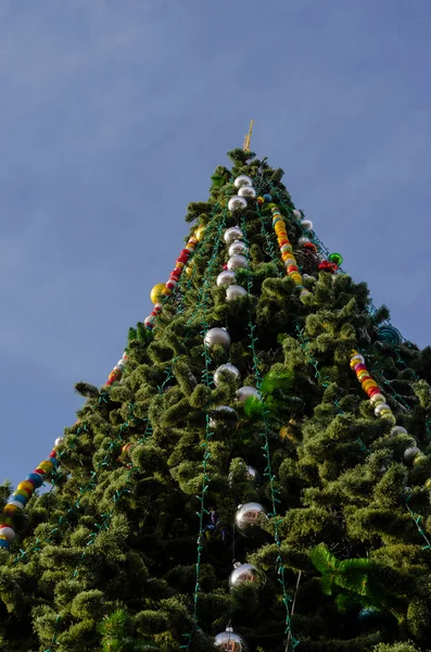 青い空に対して装飾やガーランドと市内の主要なクリスマスツリー クリスマスと新年のお祝い 下から撃たれてる — ストック写真