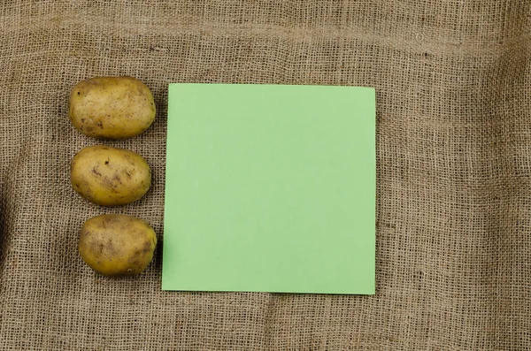 Three Potatoes Piece Paper Raw Vegetables Blank Green Squared Sheet — Stock Photo, Image