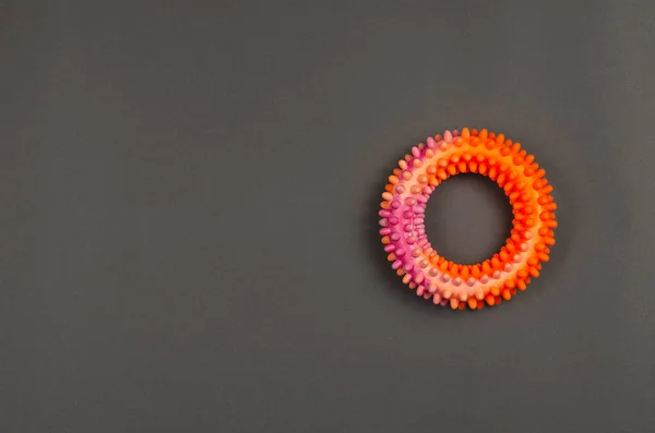 Erection Ring Spikes Gray Background Multicolored Rubber Ring Penis Stimulation — Fotografia de Stock