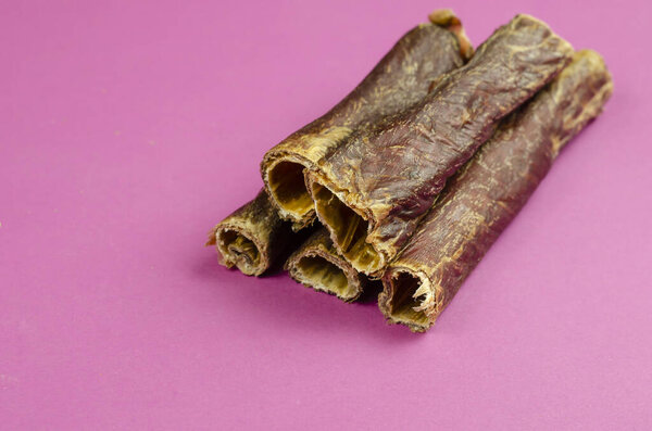 Природные здоровые лакомства для собак 100% премиум качества. Говяжий пищевод, буйволиные потроха на розовом фоне. Обезвоживание мяса. Собачья еда, жевательные лакомства, припасы для домашних животных. Крупный план, избирательный фокус.