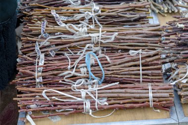 Çiftçi pazarının tezgahında meyve ağaçları kesiliyor. Nakil için çeşitli kesikler. Ukraynaca yazıtlar, ağaçların adı ve çeşitleri anlamına gelir. Bahar Bahçecilik Fuarı