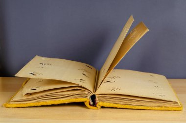 Sarı kadifeye sarılı eski bir fotoğraf albümü. Gri bir duvara karşı boş sayfaları olan klasik bir fotoğraf albümü. Bir açıyla kenar görünümü.
