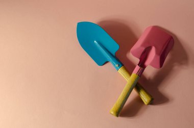 Pembe arka planda mavi ve pembe bahçe kürekleri olan minimalist kompozisyon. Tahta saplı kürekler. Bahçe aletleri, el aletleri