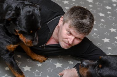Siyah köpekli bir adam gri bir battaniyenin üzerinde beyaz yıldızlı yatıyor. Sahibi yatakta Rottweiler 'larla oynuyor. Evcil hayvanlar içeride dinleniyor. Hayvan hayatı..