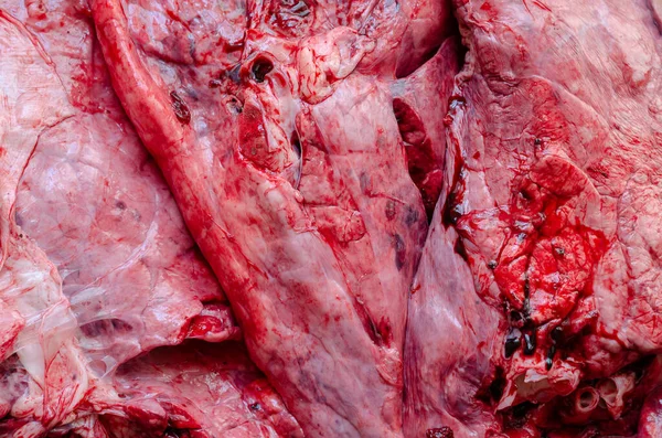 Mat Ingredienser Raw Nötkött Lungor Bakgrund Detaljerad Bild Slaktbiprodukter Högst — Stockfoto