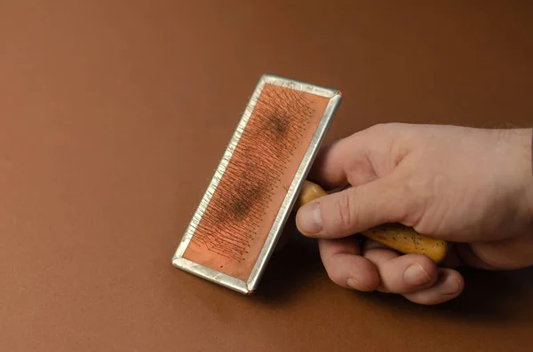 Metalen Borstel Voor Het Kammen Van Dieren Een Hand Een — Stockfoto