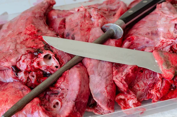 生の牛肉の肺 ナイフと手のシャープナー 肉屋の手道具は牛肉の内臓の上に積み上げられている 上からの角度表示 フルフレーム 選択的焦点 — ストック写真