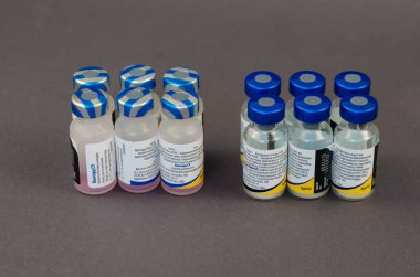 Pfizer, ABD 'den hayvan aşısı Vanguard Plus 5 / CVL. 12 ampulde 6 doz. Köpeklerin vebaya karşı aşılanması, bulaşıcı hepatit, koronaviroz ve diğerleri. Kiev, Ukrayna - 04 24 2021