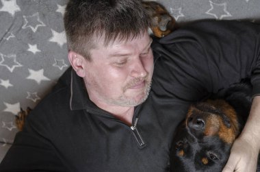 Yatakta köpekleri olan bir adamın yüksek açılı görüntüsü. Yetişkin bir adam iki Rottweiler 'la yatıyor. Bir evcil hayvana sarılıyor. Evcil hayvan hayatı. İçeride. Seçici odak.