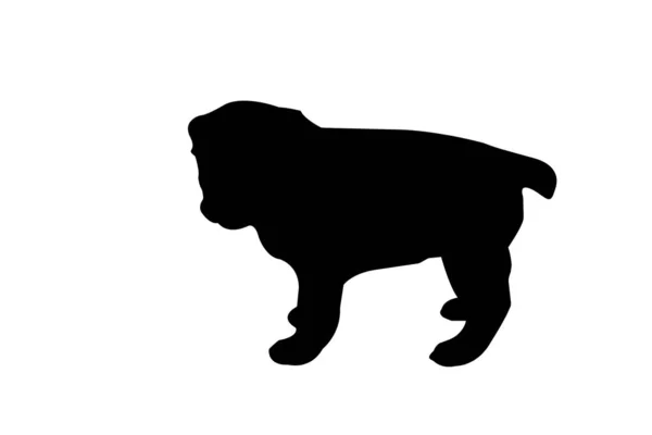 Hübscher Zentralasiatischer Schäferhund Isoliert Auf Weißem Hintergrund Silhouette Ein Drei — Stockvektor