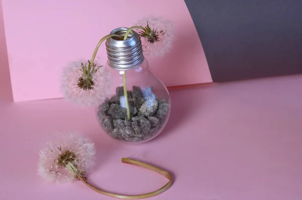 Flores Marchitas Una Lámpara Eléctrica Sobre Fondo Rosa Grisáceo Lámpara — Foto de Stock