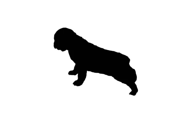 Silhouet Van Een Centraal Aziatische Herder Een Witte Achtergrond Puppy — Stockvector