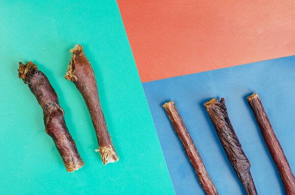 Палочки лакомств для собак на трехцветном фоне. Пять жевательных лакомств. Сушеная говядина в пищеводе. Припасы для домашних животных. Pet.