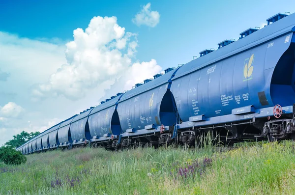 Yaz gökyüzünün arka planında tahıl vagonlarıyla hareket eden tren. Tahıl kargosuyla dolu mavi vagonlar. Ön planda bir çayır çim tarlası. Buğday ihracatı. Nikolaev, Ukrayna - 06 08 2021