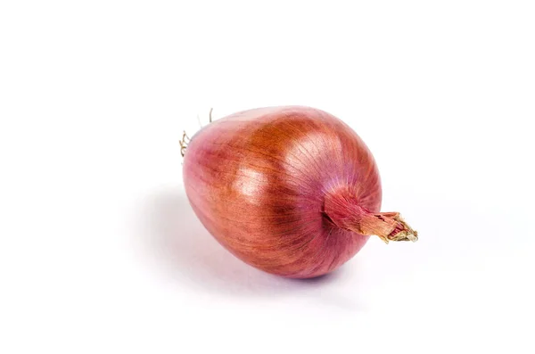 Ripe Raw Unpeeled Onion White Background Italian Onion Ramata Milano — Stock Photo, Image