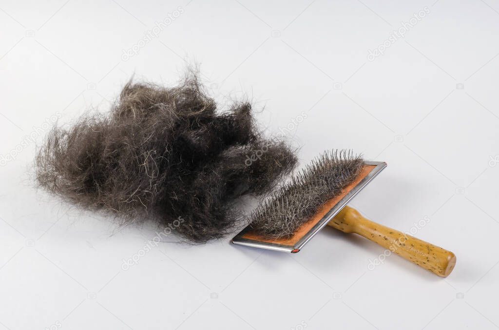 Pet brush and black dog hair on a white background. Special comb for combing out dead pet hair with a wooden handle. Bunch of shedding pet hair. Top view at an angle.