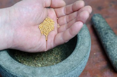 Bir adamın elinde kurutulmuş hardal tohumu. Avucunun içinde kurutulmuş baharatlar var. Arka planda tokmaklı gri taş havan topu. Daha fazla pişirmek için kurutulmuş ot ve baharat öğütüyorum..