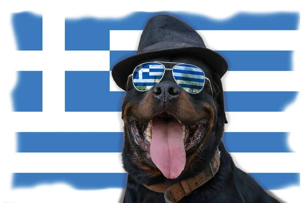 Black Dog Sunglasses Hat Sits Background Flag Male Rottweiler Front — Stock Photo, Image