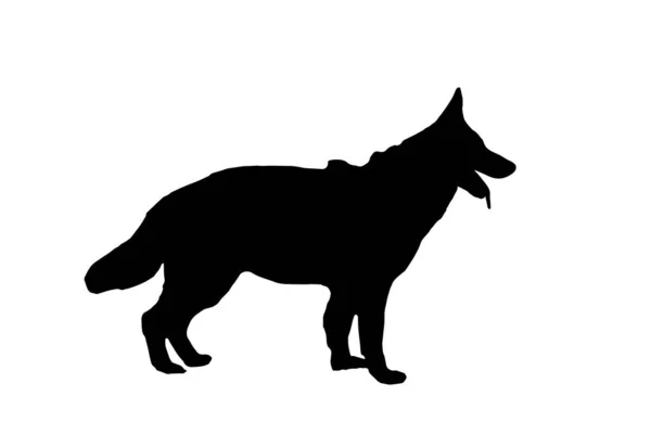 Black Silhouette German Shepherd White Background Adult Dog Standing Mouth — Stock Vector