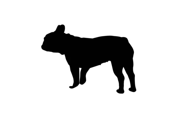 Zwart Silhouet Van Een Franse Bulldog Een Witte Achtergrond Het — Stockvector