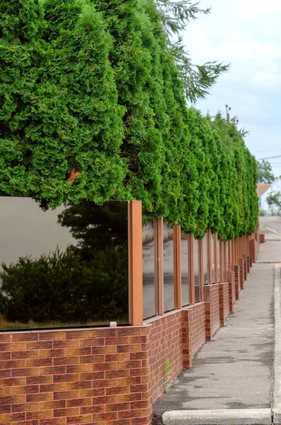 Belle Clôture Brique Panneaux Verre Teinté Thuja Une Haie Combinée — Photo