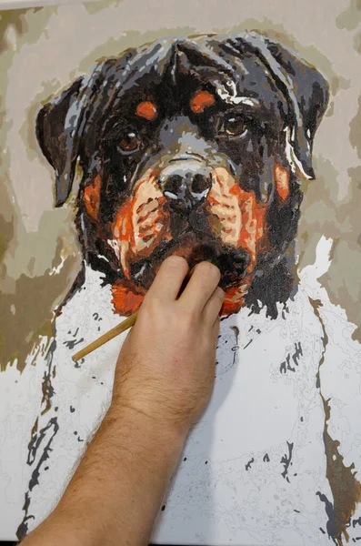 Uomo Dipinge Quadro Numero Ritratto Cane Rottweiler Imparare Disegnare Home — Foto Stock