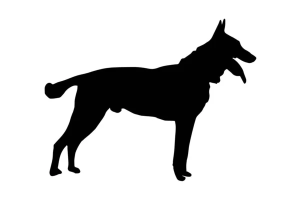 Zwart Full Height Silhouet Van Een Hond Met Tong Staart — Stockvector