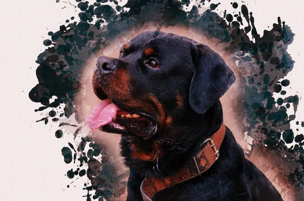 Digitale Aquarellmalerei Eines Erwachsenen Männlichen Rottweilers Das Tier Von Beeindruckender — Stockfoto
