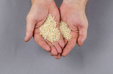 Kurumuş, beyaz, pişmemiş pirinç bir adamın elinde, gri bir arka planda. Pirinç ezmesi porsiyonu. Yukarıdan bir açıyla görüntüle.