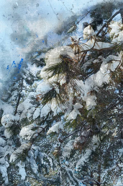 Digital watercolor painting pine branches in the snow. Frosty wi — стоковое фото