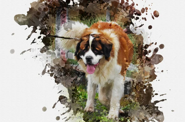 数字水彩画莫斯科看门狗 成年公狗用皮带在绿色的草地上漫步 摘要壁纸 — 图库照片