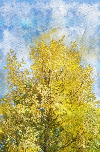 Arbre Automne Feuillage Jaune Contre Ciel Bleu Aquarelle Numérique Texture — Photo