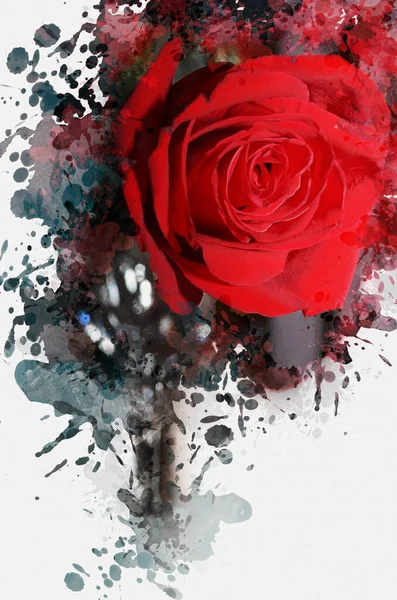 Zbliżenie Czerwonej Róży Piękny Kwiat Przed Wielobarwnymi Plamami Plamami Farby — Zdjęcie stockowe
