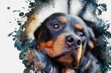 Üzgün gözlü bir Rottweiler 'ın dramatik portresi. Üzgün dişi köpek. Hayvan hastalık ve kayıptan dolayı büyük acı çekiyor. Dijital resim. Modern sanat