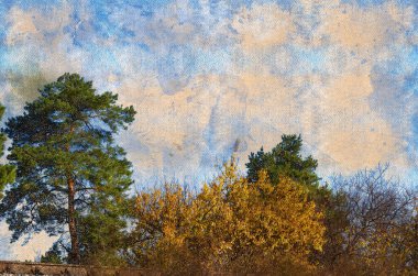 Mavi gökyüzüne karşı güzel sonbahar ormanı manzarası. Yeşil Çam Korusu ve çalılıklar güneşli bir günde sarı yapraklı ağaçlar. Dijital suluboya resim. Dijital sanat.