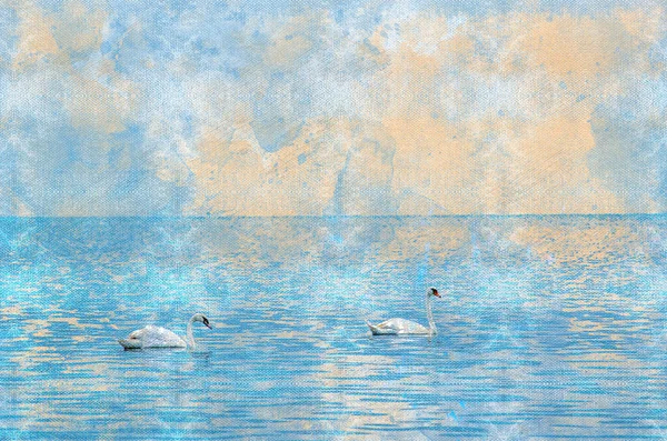Пара Лебедей Плавающих Море Прекрасные Птицы Фоне Голубого Неба Белый — стоковое фото