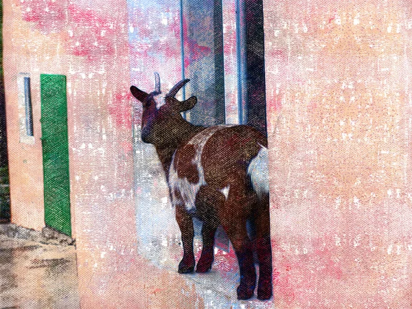 Little Goat Standing Windowsill Brown White Spots Animal Urban European — Stock fotografie