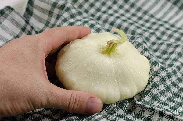 Hombre Sostiene Calabaza Pattypan Servilleta Cuadros Verde Patty Pan Crudo — Foto de Stock