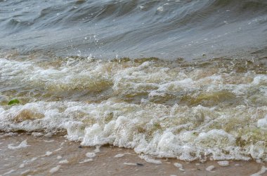 Deniz dalgaları kumlu sahilde yuvarlanıyor. Köpüklü ve yeşil yosunlu fokurdayan deniz suyu. Denizde dindirici fırtına. Seçici odak, bulanık hareket, gürültü, tahıl etkisi.