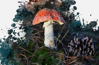 Kırmızı şapkalı, zehirli, agarik mantar. Yağ mantarı, ormandaki yosun ve çam iğneleri arasında çam kozalağı. Dijital suluboya resim. Dijital sanat