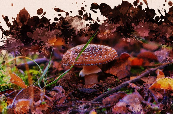 森の中の落ち葉や網 草の間に毒キノコ 秋の朝の森の中の孤独なキノコ デジタル水彩画 — ストック写真