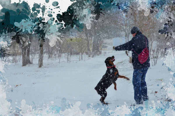 Homem Brincando Com Seu Animal Estimação Neve Filhote Cachorro Rottweiler — Fotografia de Stock