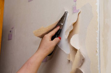 Yetişkin bir kadın duvardaki eski duvar kağıtlarını söküyor. Kırmızı manikürlü eller. Metal bir spatulayla duvar kağıdını sökmek. El işçiliği. Oda tadilatı. Seçici odak.